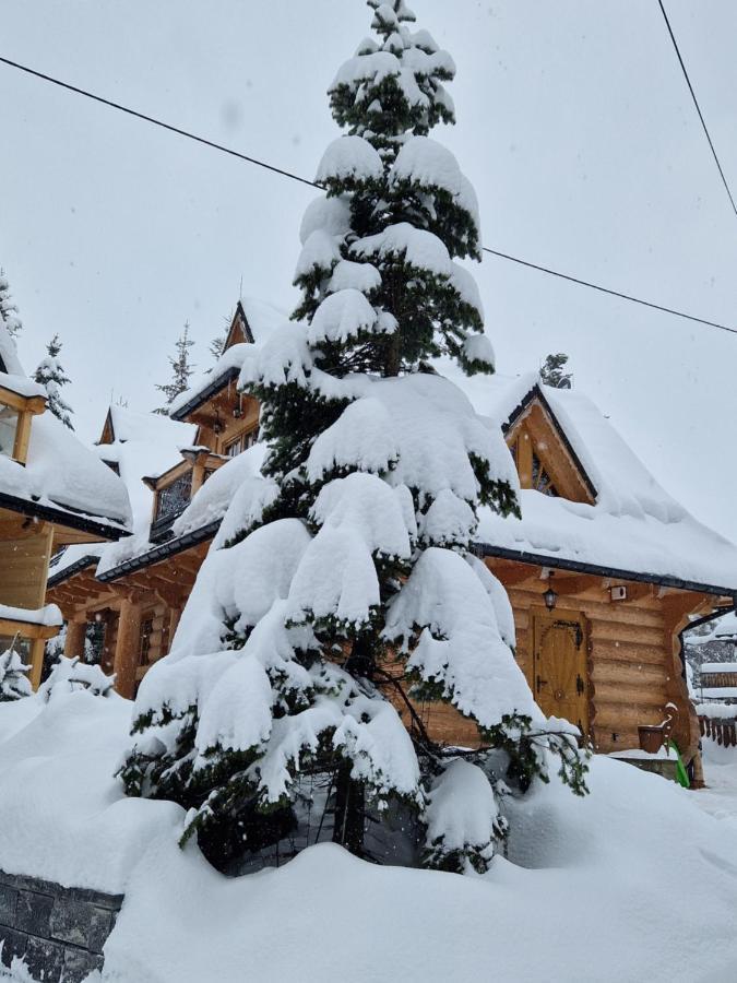 Przytulny Domek I Zakopane Bagian luar foto